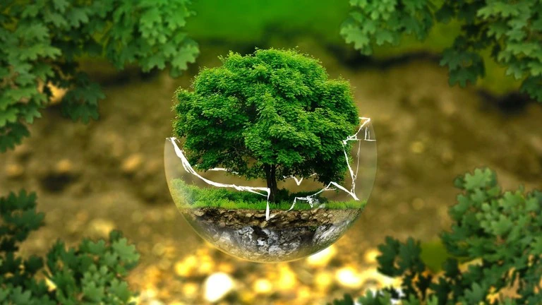 E-Waste China E-Waste