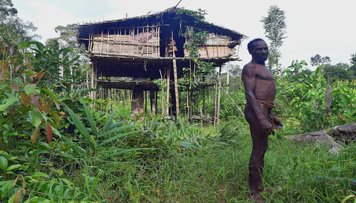 The Korowai Tribe