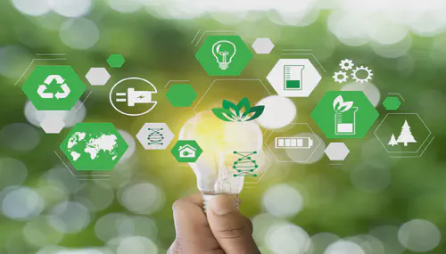 Perpaduan Hijau Sempurna