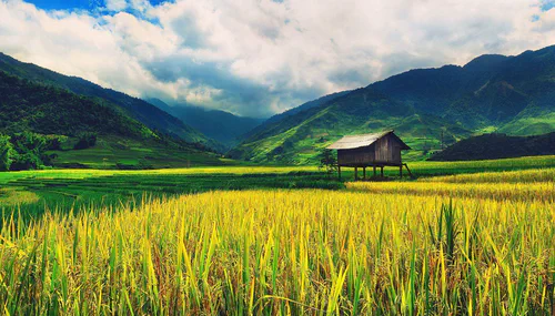 Sustainable Agriculture Project